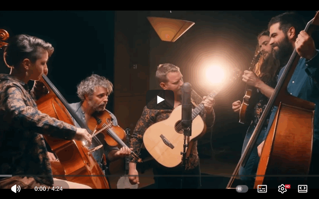 Les news de Calico Drive